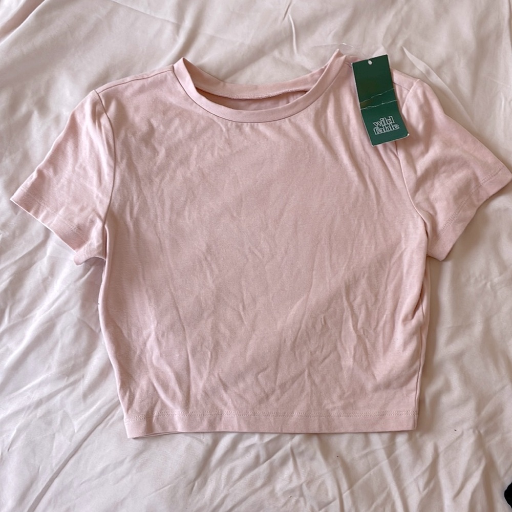 NWT Wild Fable Pink Crop Top